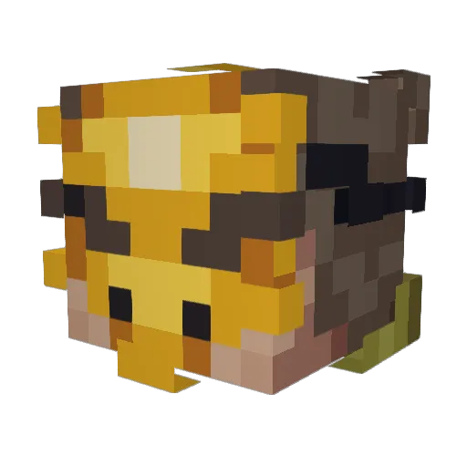 WandKosinus5525 Minecraft avatar head, 3D render