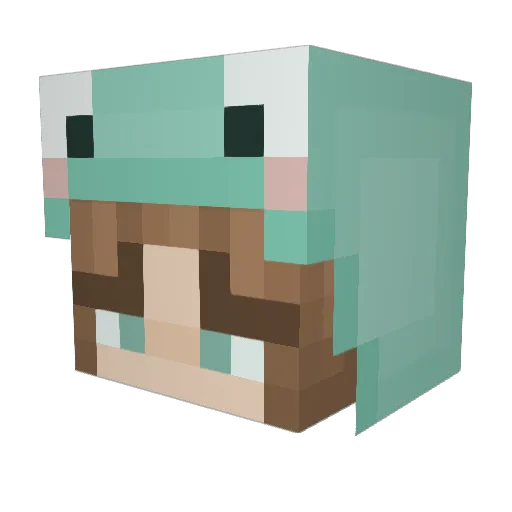 Wanda_pro Minecraft avatar head, 3D render