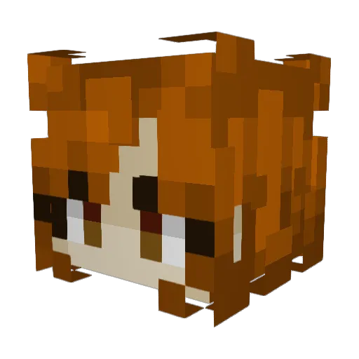 Wandabeanttv Minecraft avatar head, 3D render