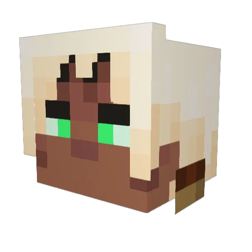 Wandasushi Minecraft avatar head, 3D render
