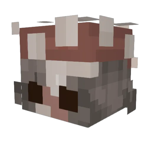 Wandatheturtle Minecraft avatar head, 3D render