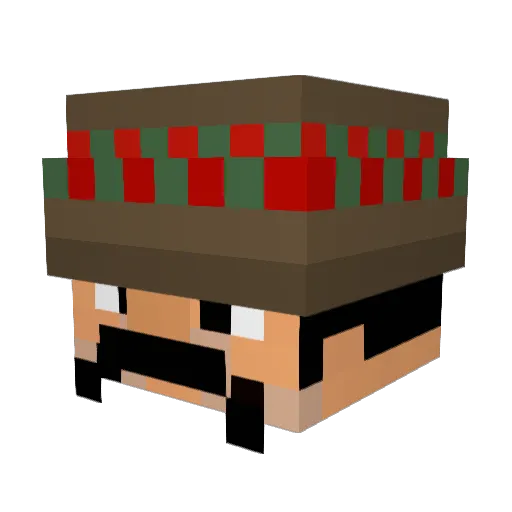 WandelBr Minecraft avatar head, 3D render