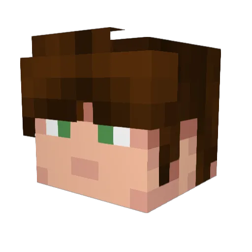 Wander1ngSp1der Minecraft avatar head, 3D render