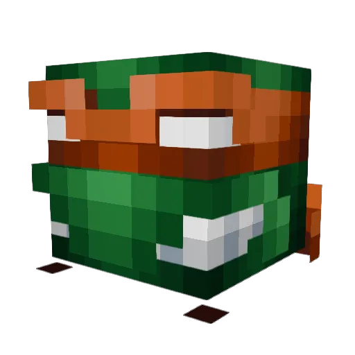 Wander654 Minecraft avatar head, 3D render