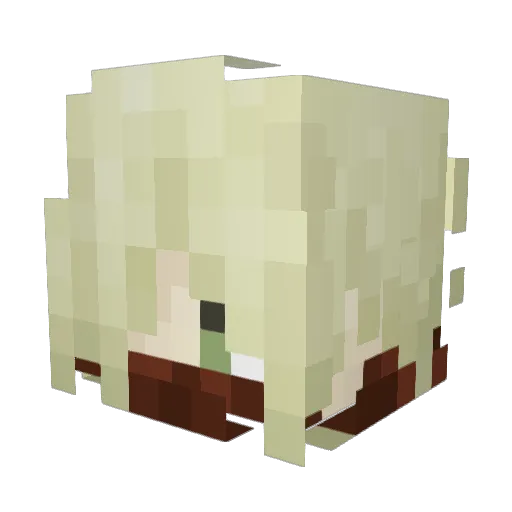 WanderComplex Minecraft avatar head, 3D render