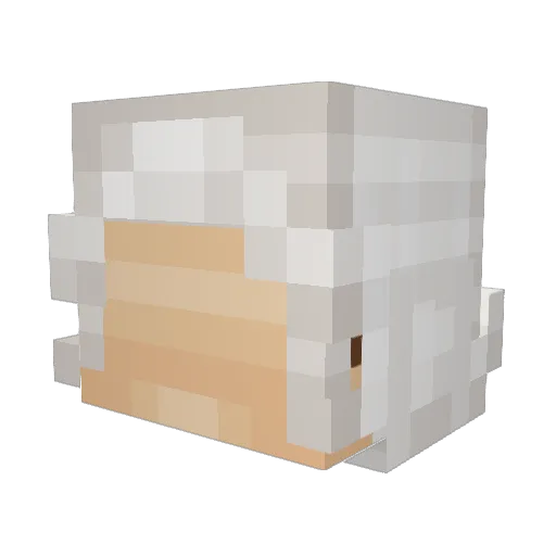 WanderGuy Minecraft avatar head, 3D render
