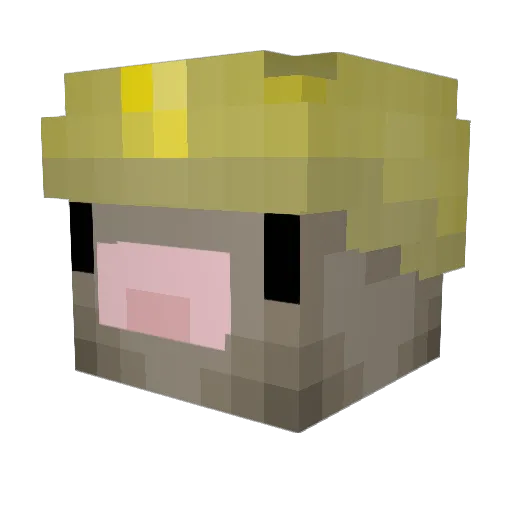 Wander_Mole Minecraft avatar head, 3D render