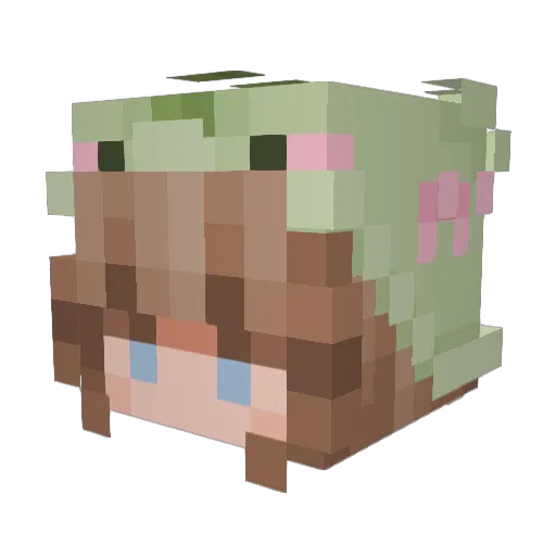 Wanderer108 Minecraft avatar head, 3D render