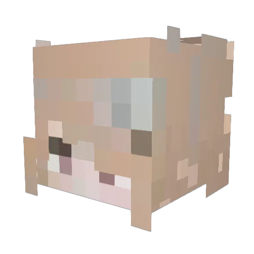 Wanderer2006 Minecraft avatar head, 3D render