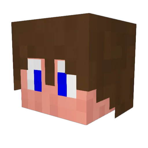 Wanderer78 Minecraft avatar head, 3D render