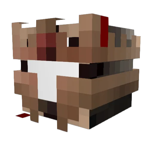 WandererBard Minecraft avatar head, 3D render