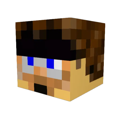 WandererSolcon Minecraft avatar head, 3D render