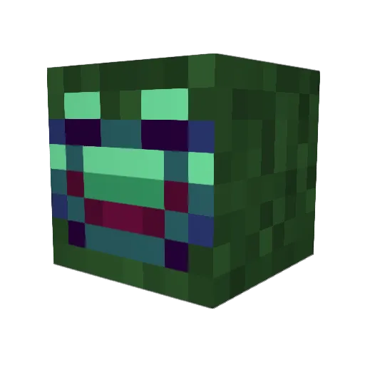 WandererTheFrog Minecraft avatar head, 3D render