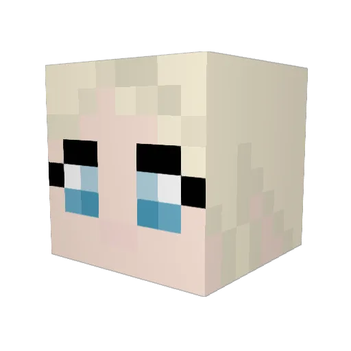 Wanderer__1 Minecraft avatar head, 3D render