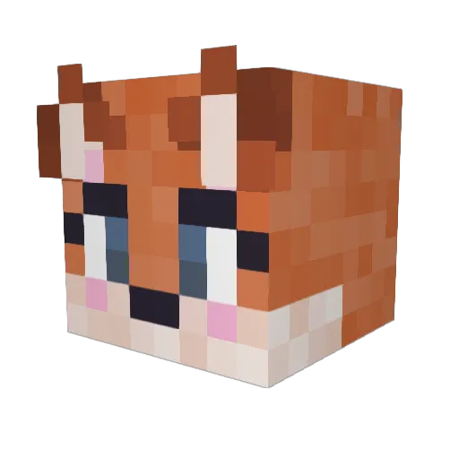 WanderingFox_ Minecraft avatar head, 3D render