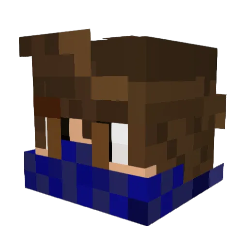 WanderingRichie Minecraft avatar head, 3D render