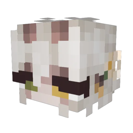WanderingSteorra Minecraft avatar head, 3D render