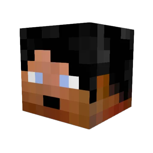 WanderingWizard5 Minecraft avatar head, 3D render