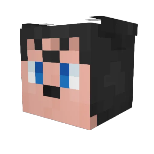 Wandering_Zorua Minecraft avatar head, 3D render