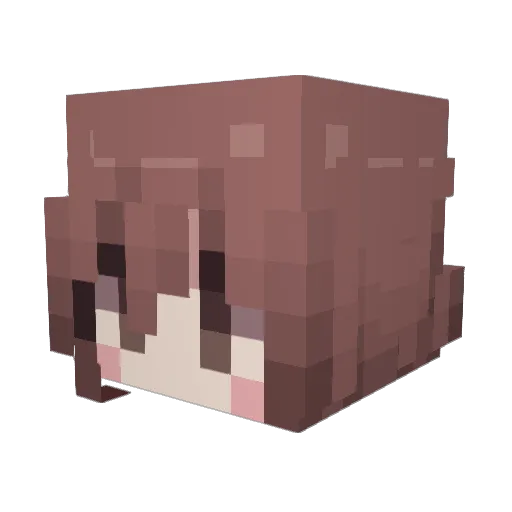 Wandertein Minecraft avatar head, 3D render