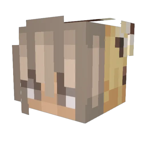 WangAnn Minecraft avatar head, 3D render