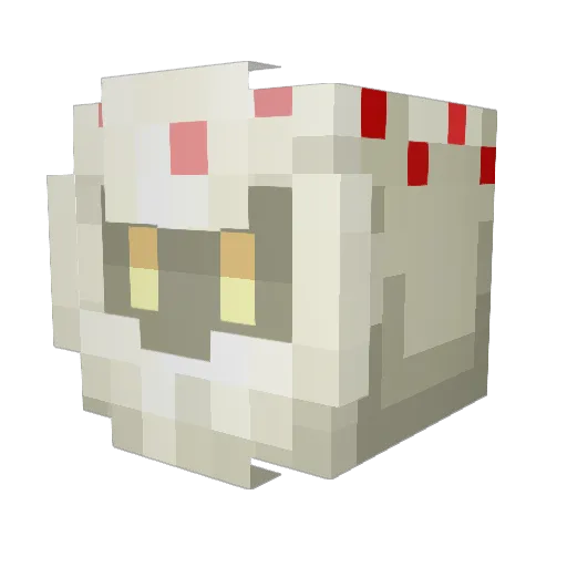 WangDangWilly Minecraft avatar head, 3D render