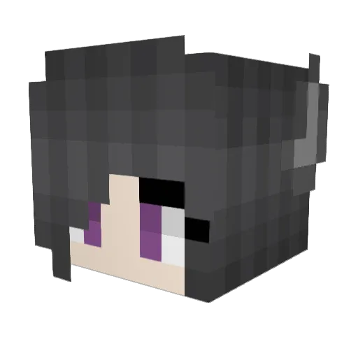 WangGui Minecraft avatar head, 3D render