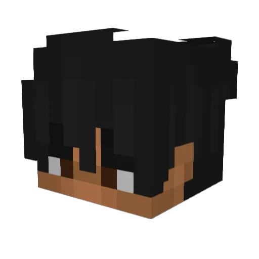 WangTangSoup Minecraft avatar head, 3D render