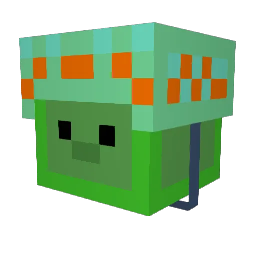 WangTurtle Minecraft avatar head, 3D render