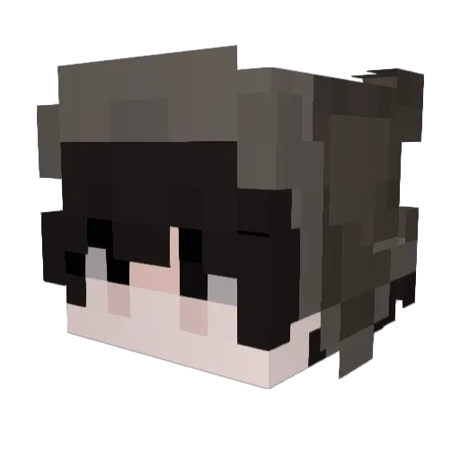 WangXiaoMei_ Minecraft avatar head, 3D render