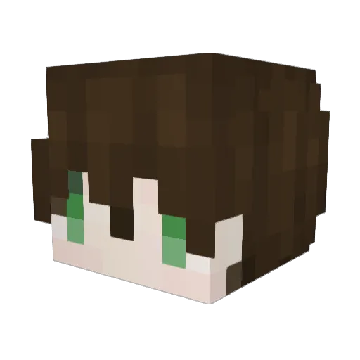 WangYouCao Minecraft avatar head, 3D render