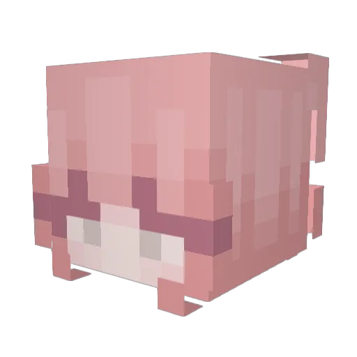 WangZIx Minecraft avatar head, 3D render