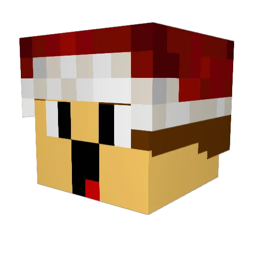Wang_On_It Minecraft avatar head, 3D render