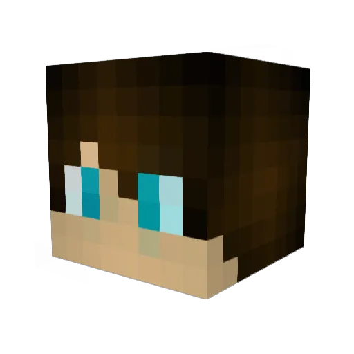 Wang_oLe Minecraft avatar head, 3D render