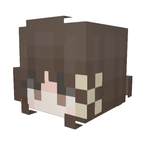 Wangtian_Wonder Minecraft avatar head, 3D render