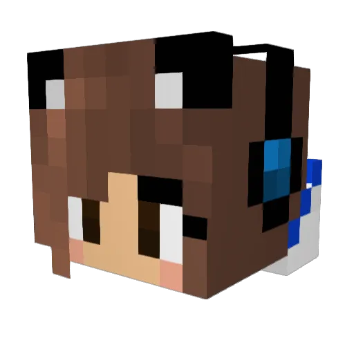 Wanhedame Minecraft avatar head, 3D render