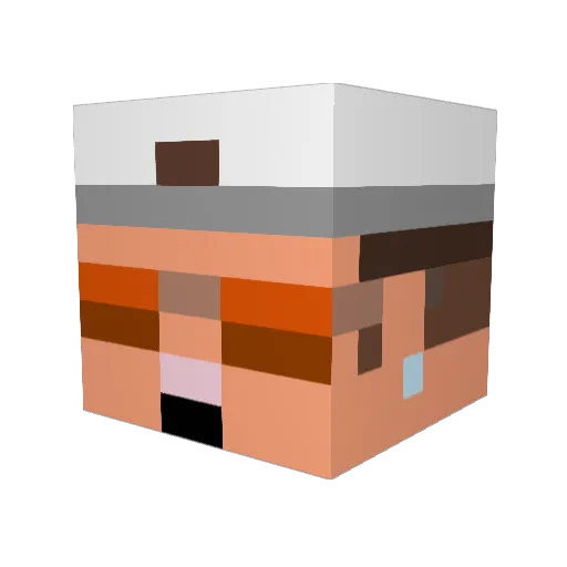 Wanillo93 Minecraft avatar head, 3D render