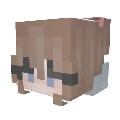 Waniya6 Minecraft avatar head, 3D render