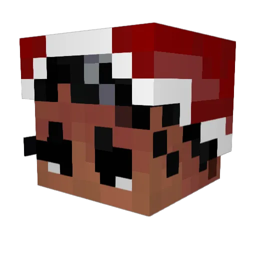Wanle_ Minecraft avatar head, 3D render