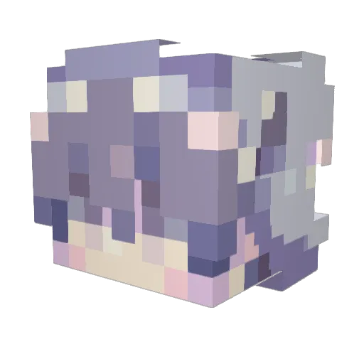 WannaGoMachJesus Minecraft avatar head, 3D render