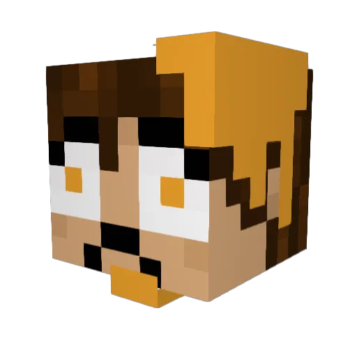 WannabeBeez Minecraft avatar head, 3D render