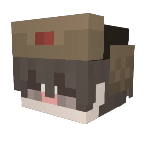 WannabeCat Minecraft avatar head, 3D render