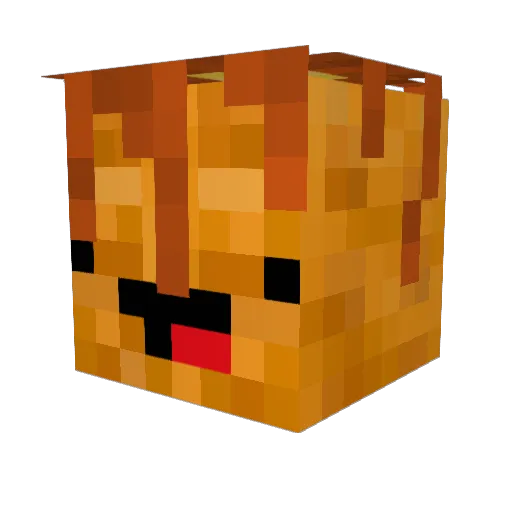 WannabeWaffle Minecraft avatar head, 3D render