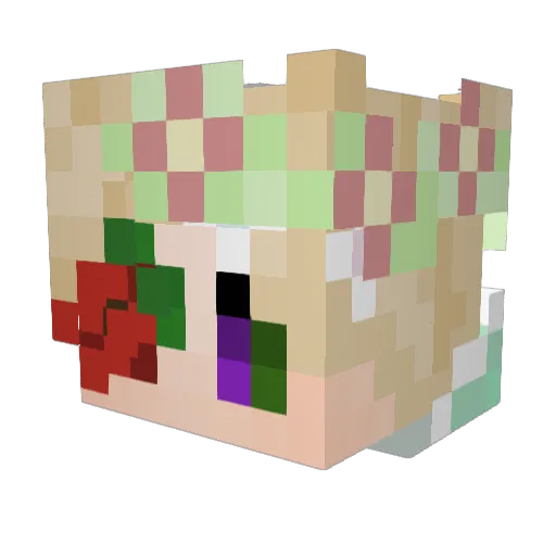 Wannabe_Human Minecraft avatar head, 3D render