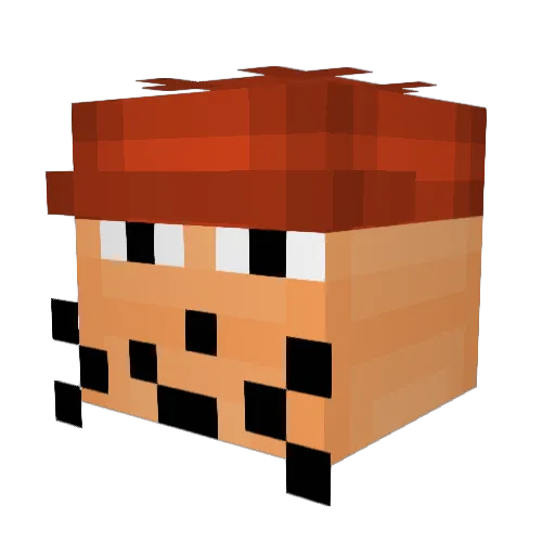 Wannabee101 Minecraft avatar head, 3D render