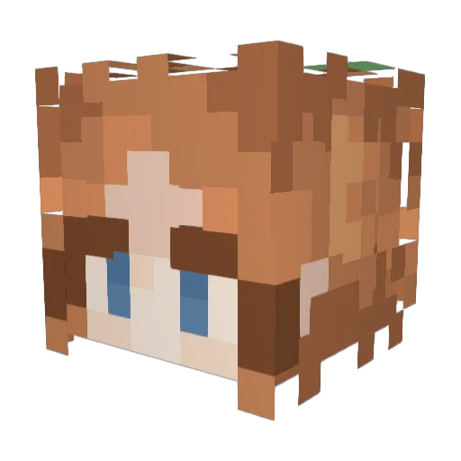 Wannablex Minecraft avatar head, 3D render