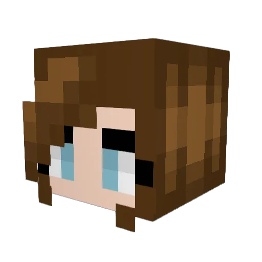 Wannderr Minecraft avatar head, 3D render