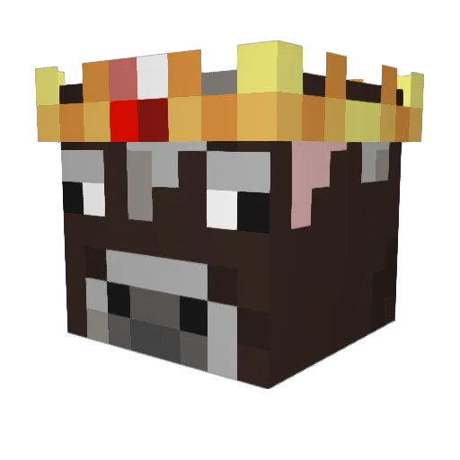 WannesM03 Minecraft avatar head, 3D render