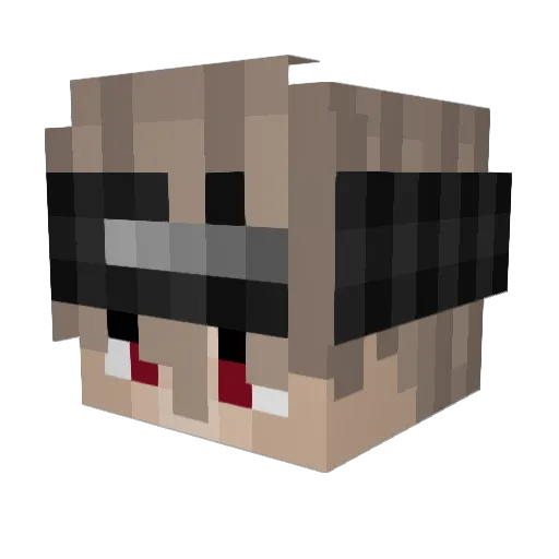 WannesWanted Minecraft avatar head, 3D render