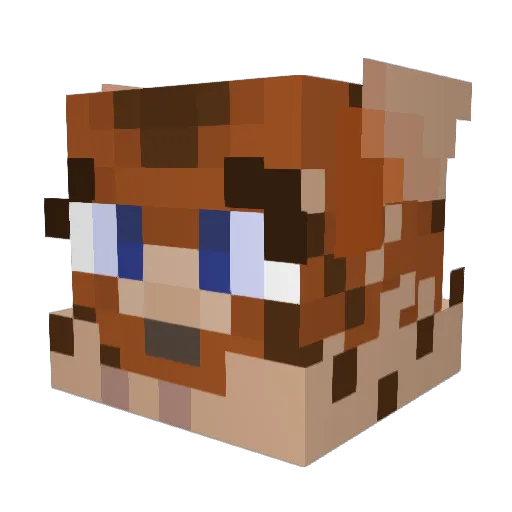 Wanpis23 Minecraft avatar head, 3D render